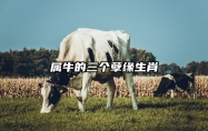属牛的三个孽缘生肖 属牛最佳配偶3个人