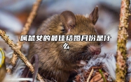 属鼠女的最佳结婚月份是什么