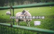 2025属羊婚姻最终归宿 2025年属羊必有一难