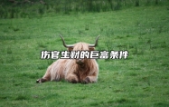 伤官生财的巨富条件 伤官生财对女人意味着啥