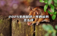 2025生肖鼠这一年的运势怎么样