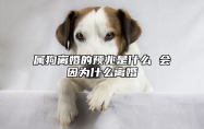 属狗离婚的预兆是什么 会因为什么离婚 2021属狗离婚