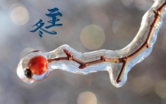 冬至节气简单介绍 冬至节气的含义是什么意思