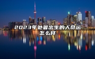 2023年处暑出生的人命运怎么样 工作能力非常强