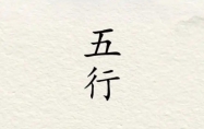 丙子时五行属什么 乙巳日丙子时生人命运