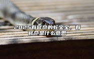 2025有官命的蛇宝宝，有官命是什么意思 