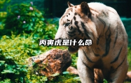 丙寅虎是什么命 丙寅虎是哪年