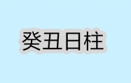 癸丑日柱生于各月的命理解析 癸丑日柱女命好不好