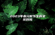 2023年春分时节生的女孩好吗 事业蒸蒸日上