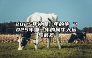 2025年冲哪一年的牛 2025年哪一年的属牛人运气最差 2025年属牛是什么命