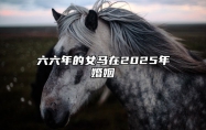 六六年的女马在2025年婚姻 属马女会被谁纠缠一生