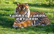 下山虎的含义 上山虎命好还是下山虎命好 下山虎上山虎什么意思