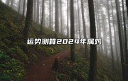 运势测算2024年属鸡 运势测算2024年属鸡运程