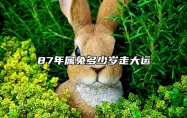 87年属兔多少岁走大运 1987属兔几岁行大运