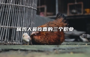 属鸡人最吃香的三个职业 属鸡的人干什么工作最好