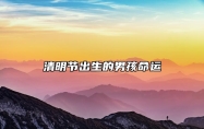 清明节出生的男孩命运 清明节出生的孩子性格解析