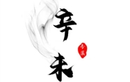 辛未年五行属啥 辛未年属于什么命