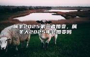 属羊2025第三者婚变，属羊人2025年会婚变吗 属羊的人2025年的运势及运程