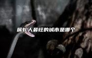 属蛇人最旺的城市是哪个 属蛇人干什么最挣钱