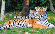 98年虎男娶谁最旺 98年虎27岁有一劫