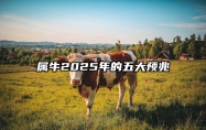 属牛2025年的五大预兆