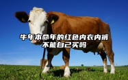 牛年本命年的红色内衣内裤不能自己买吗