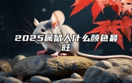 2025属鼠人什么颜色最旺 属鼠的在2025年是什么运势