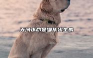 天河水命是哪年出生的 丙午丁未天河水命