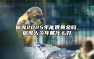 属猴2025年能带黄金吗，属猴人今年戴什么好 属猴的2022年佩戴什么