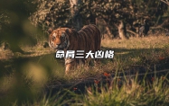 命局三大凶格 三大最凶的命格怎么看
