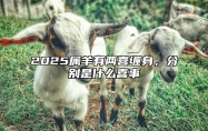 2025属羊有两喜缠身，分别是什么喜事 生肖羊2025年运势大全