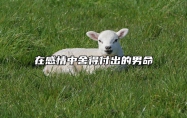 在感情中舍得付出的男命 舍得付出的人会有回报