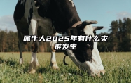 属牛人2025年有什么灾难发生