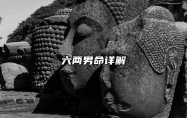 六两男命详解 六两男命的真正版本