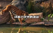 详解八字中的沐浴 生辰八字里的沐浴是什么意思