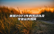 属猴2023年的考试以及学业运势如何 属猴人2023年如何提升学业运势