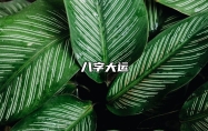 大运与流年看六亲遭遇凶险