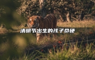 清明节出生的孩子命硬 一生运势分析