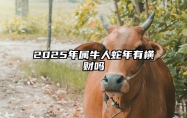 2025年属牛人蛇年有横财吗