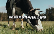 2025年属牛4月财运好吗 属牛2025年运势及运程每月运程