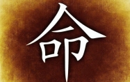 二两八钱男命一生总结 二两八钱男命详解一生