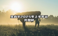生肖牛2025年上半年运势如何