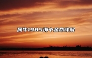 属牛1985海中金命详解 1985海中金命缺什么