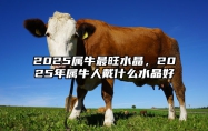 2025属牛最旺水晶，2025年属牛人戴什么水晶好 属牛的明年佩戴什么