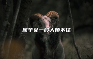 属羊女一般人镇不住 属羊女不吉利
