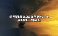 壬辰日柱2023年运势 壬辰日柱三命通会