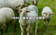 1991年属羊最佳结婚年 1991年属羊最佳结婚年龄是多大