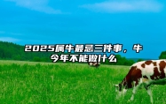2025属牛最忌三件事，牛今年不能做什么 属牛人2025