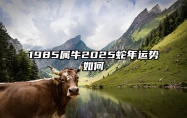 1985属牛2025蛇年运势如何 1985年生肖牛在2025年运势如何