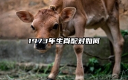 1973年生肖配对如何 1973年属牛最佳配对